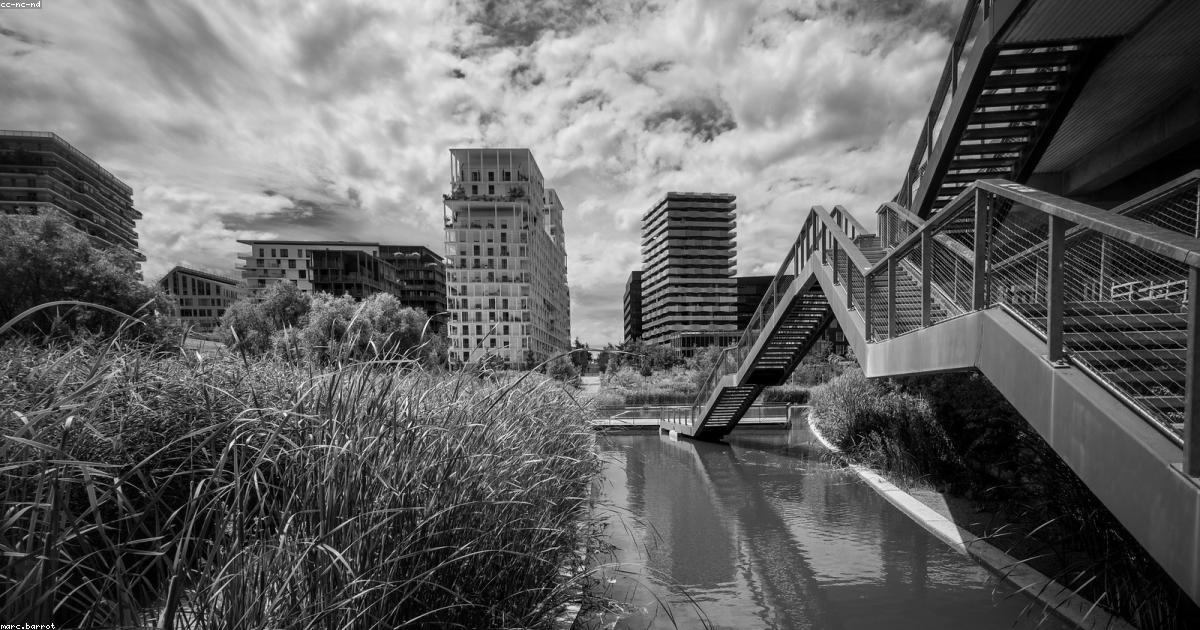 Degustazioni locali: Esperienze del gusto