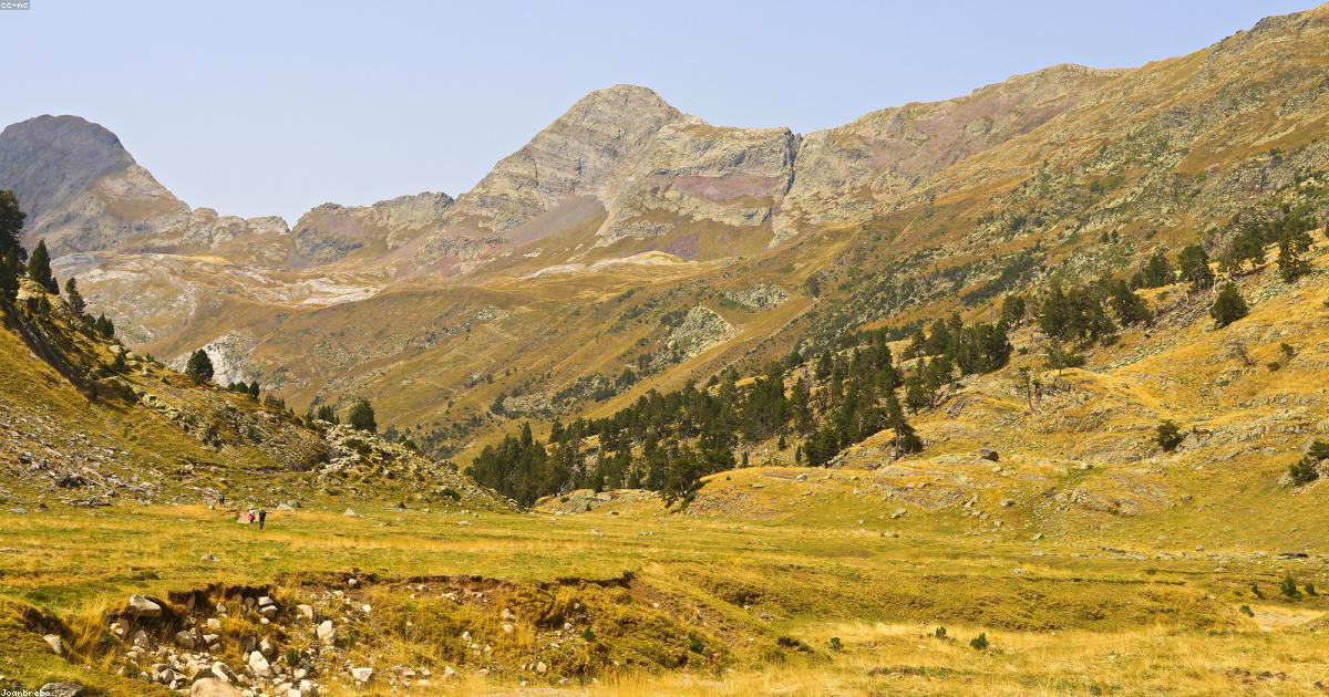 Vini naturali: La rivoluzione in bottiglia