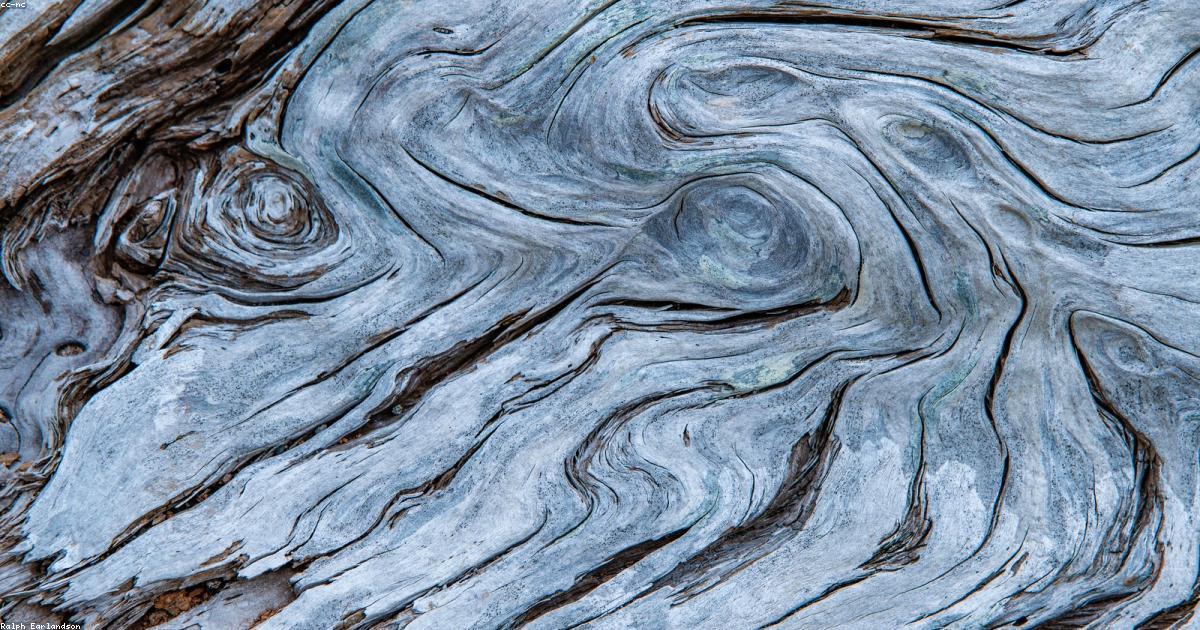 Formaggi DOP: Patrimonio caseario