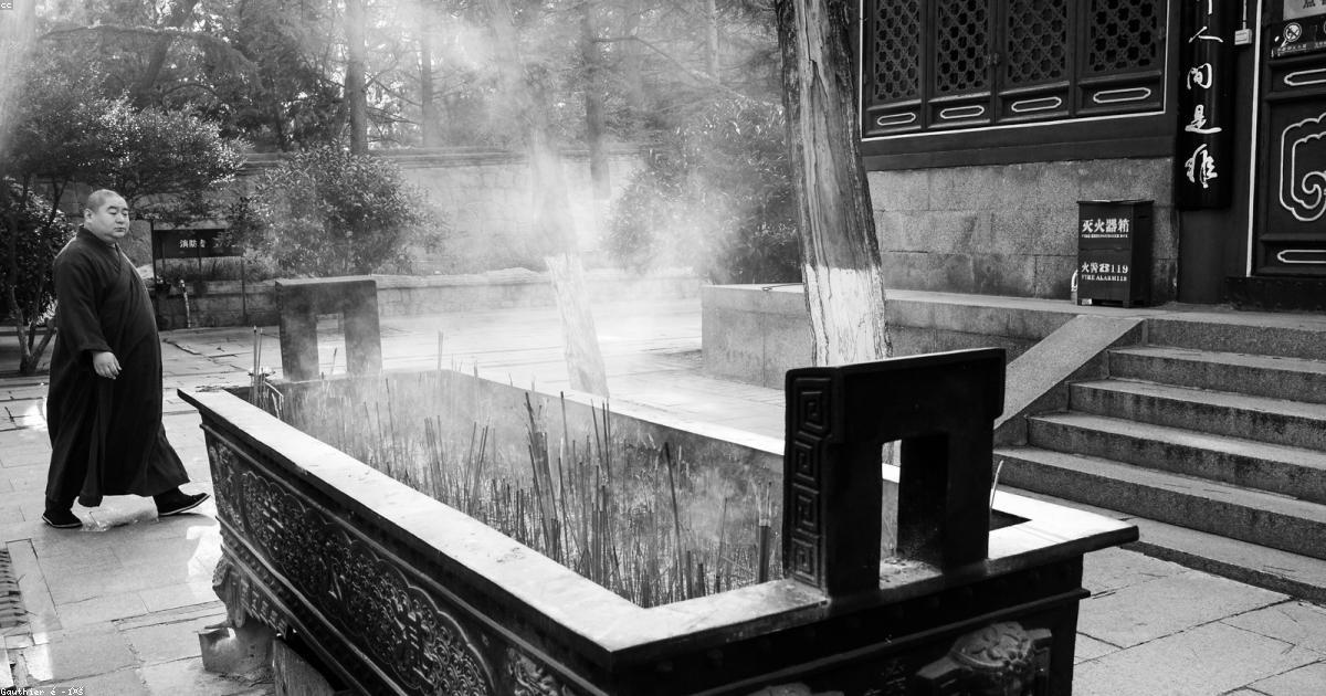 Olio extravergine: Oro liquido italiano