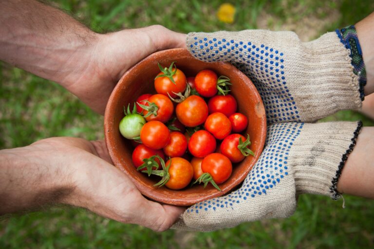 Tradizioni culinarie da salvaguardare nei mercati