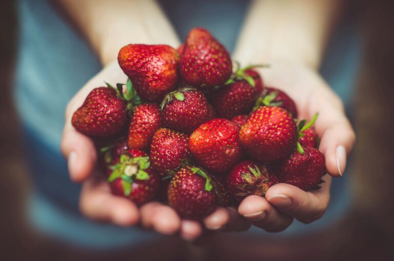 Sapori che uniscono: il cibo di strada nei festival