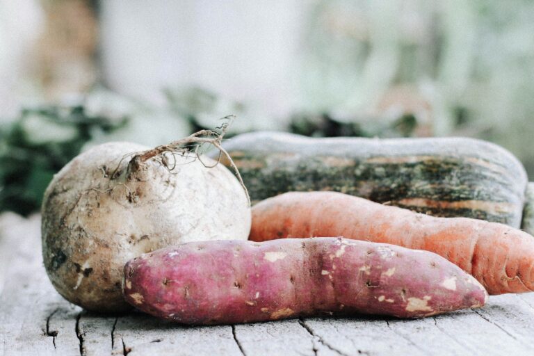 Il patrimonio culinario italiano esposto nei mercati