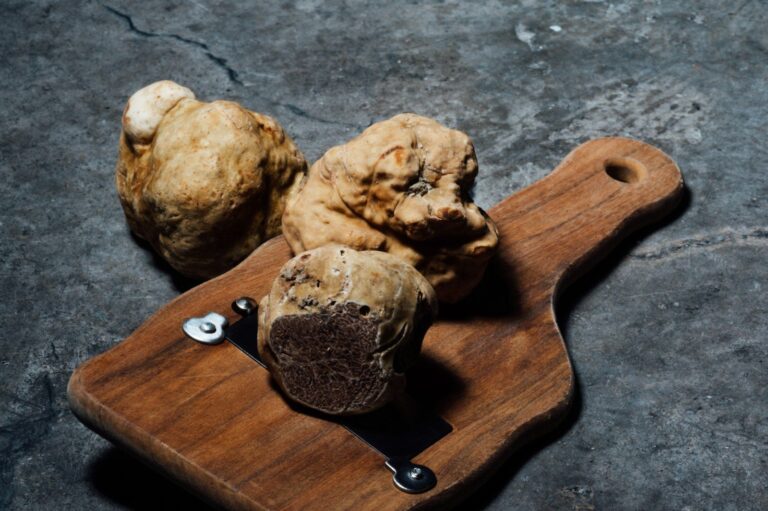 La cultura gastronomica italiana attraverso il cibo di strada