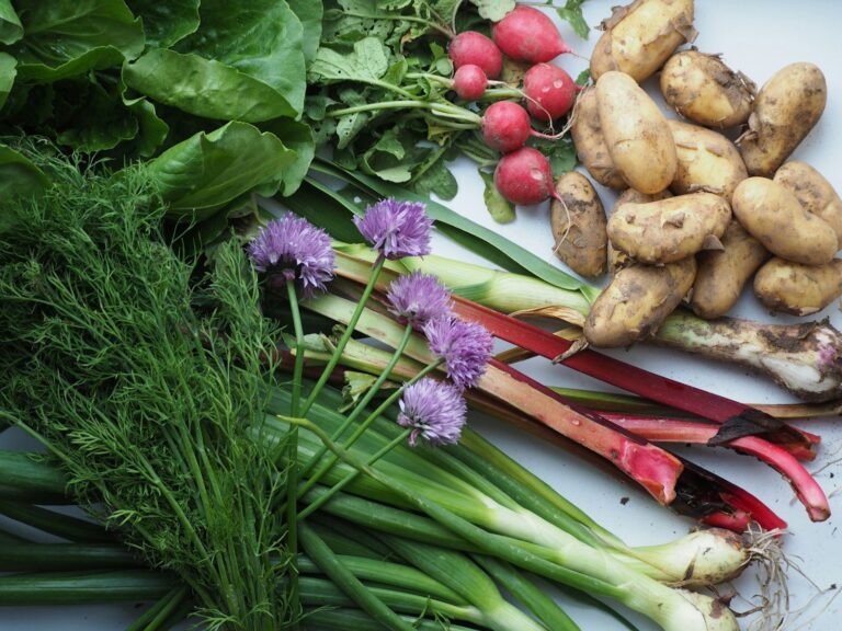 Vini naturali: La rivoluzione in bottiglia