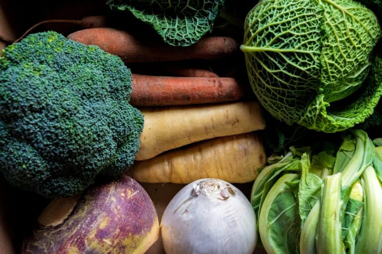 Mercati rionali di Roma: guida ai sapori autentici della Capitale