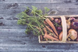 La vendemmia in Italia: tradizioni, rituali e territori del vino