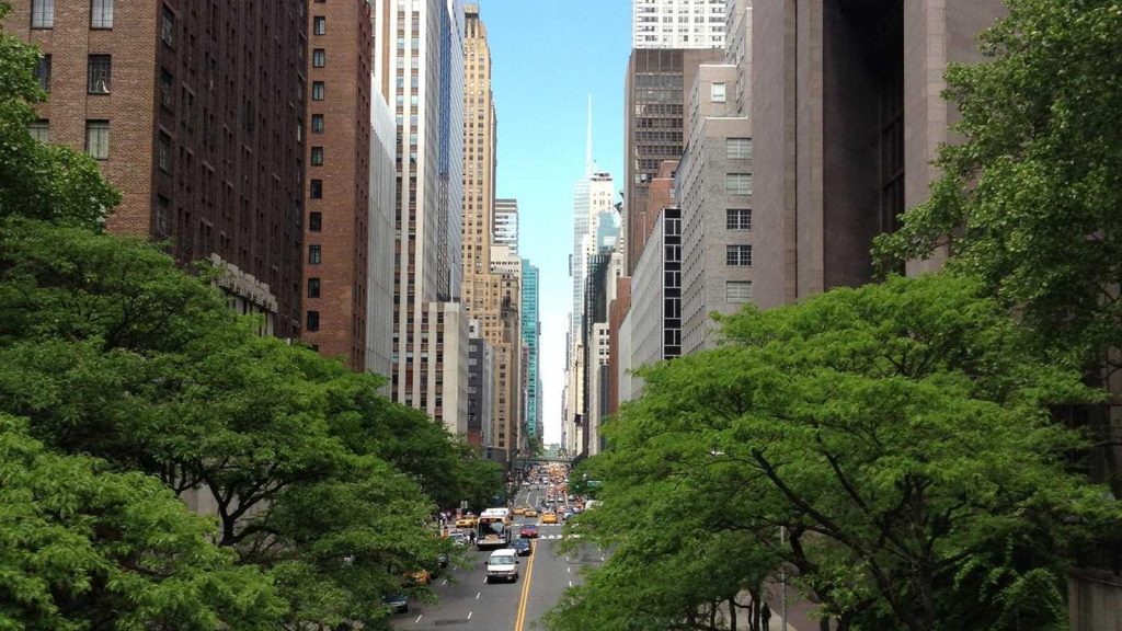 The Italian Truffle Economy: Climate, Culture, and Counterfeit