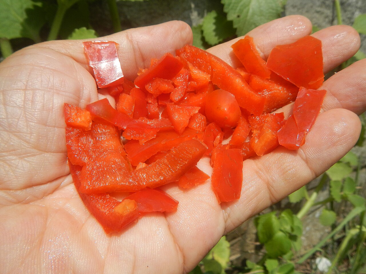cooking ingredients (foto: Judgefloro / CC0, Wikimedia Commons)