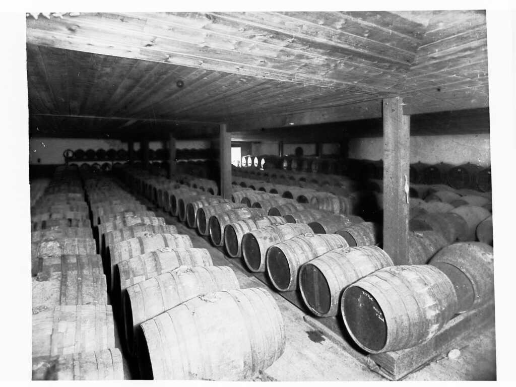 Botti di legno allineate lungo il corridoio di una cantina con luce bassa