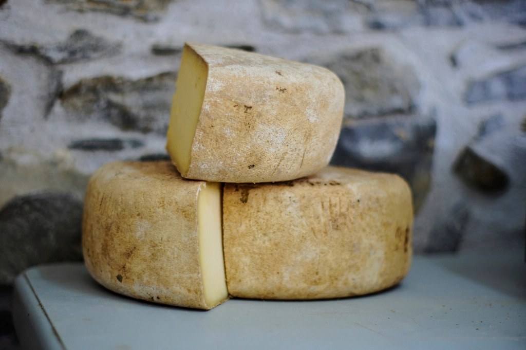 Forma di formaggio aperta con una fetta staccata che mostra la pasta gialla e l'occhiatura