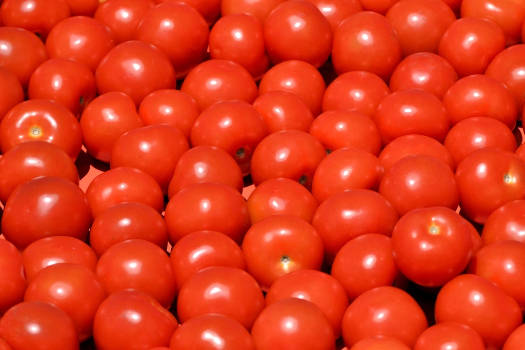 Pomodori maturi allungati raccolti in una cesta accanto a un coltello da cucina