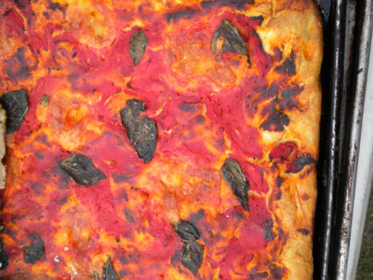 Schiacciata con l’uva, due sfoglie perché il fondo non resti bagnato