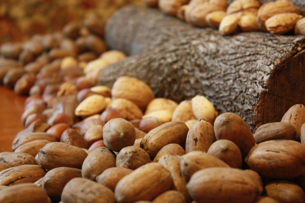 Un gheriglio scuro tradisce il raccolto vecchio venduto per nuovo