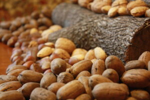 Un gheriglio scuro tradisce il raccolto vecchio venduto per nuovo