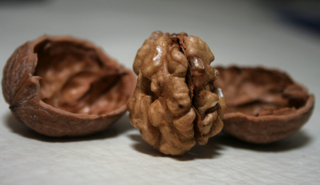 Gheriglio di noce spezzato a metà su un tagliere che mostra il colore chiaro della polpa