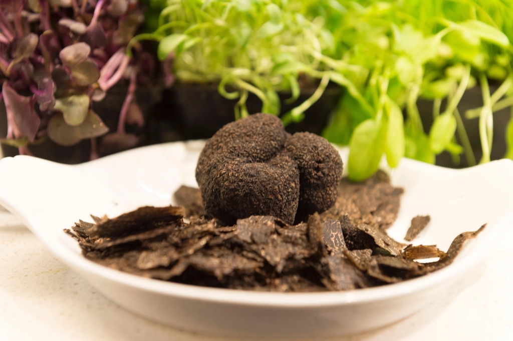 Tartufo bianco tagliato a metà che mostra le venature chiare della polpa interna